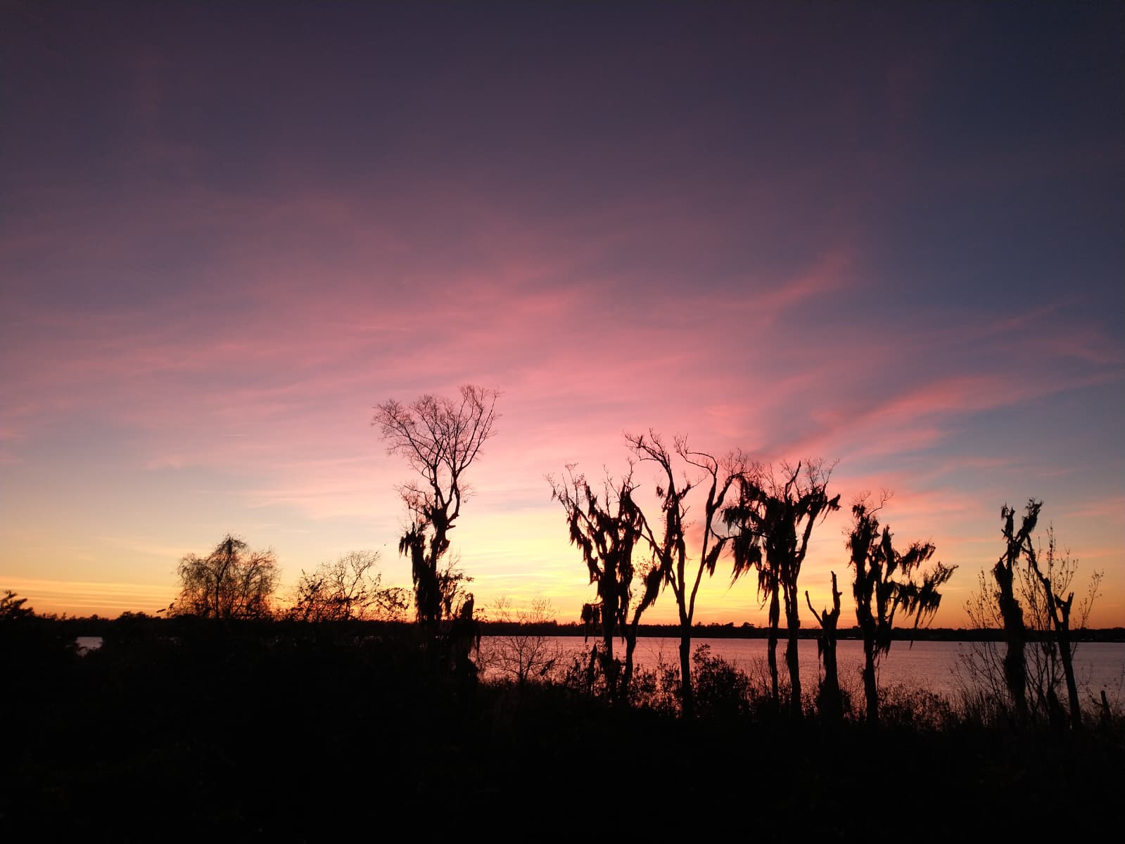 Lake Apopka in Central Florida