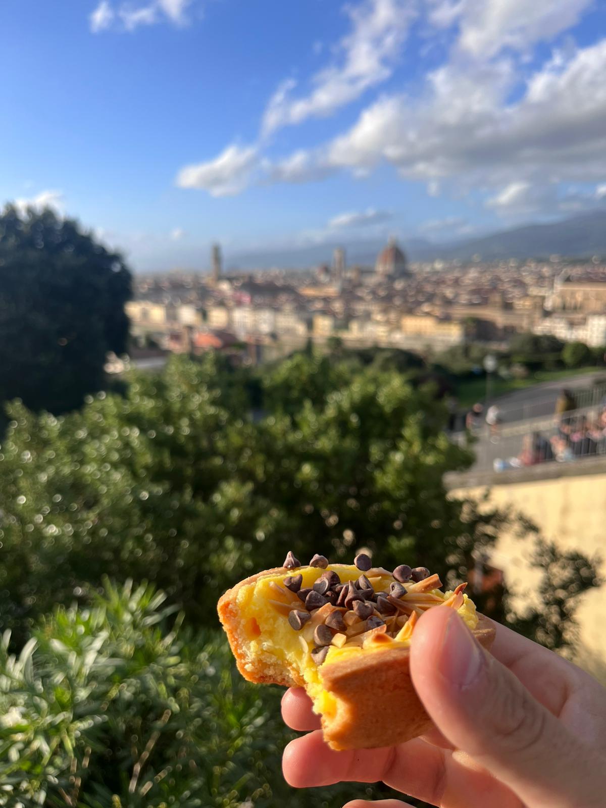 View from Piazzale Michelangelo in Florence, Italy