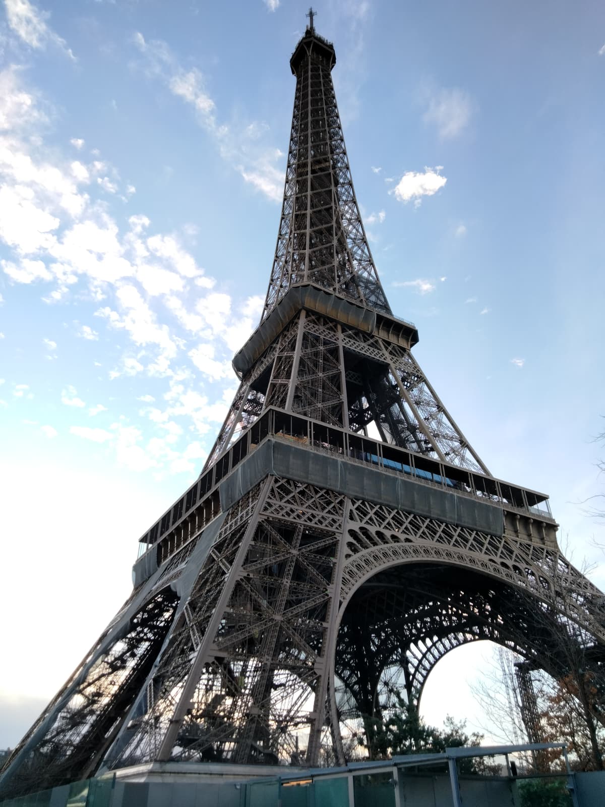 Eiffel Tower from Champ de Mars in Paris