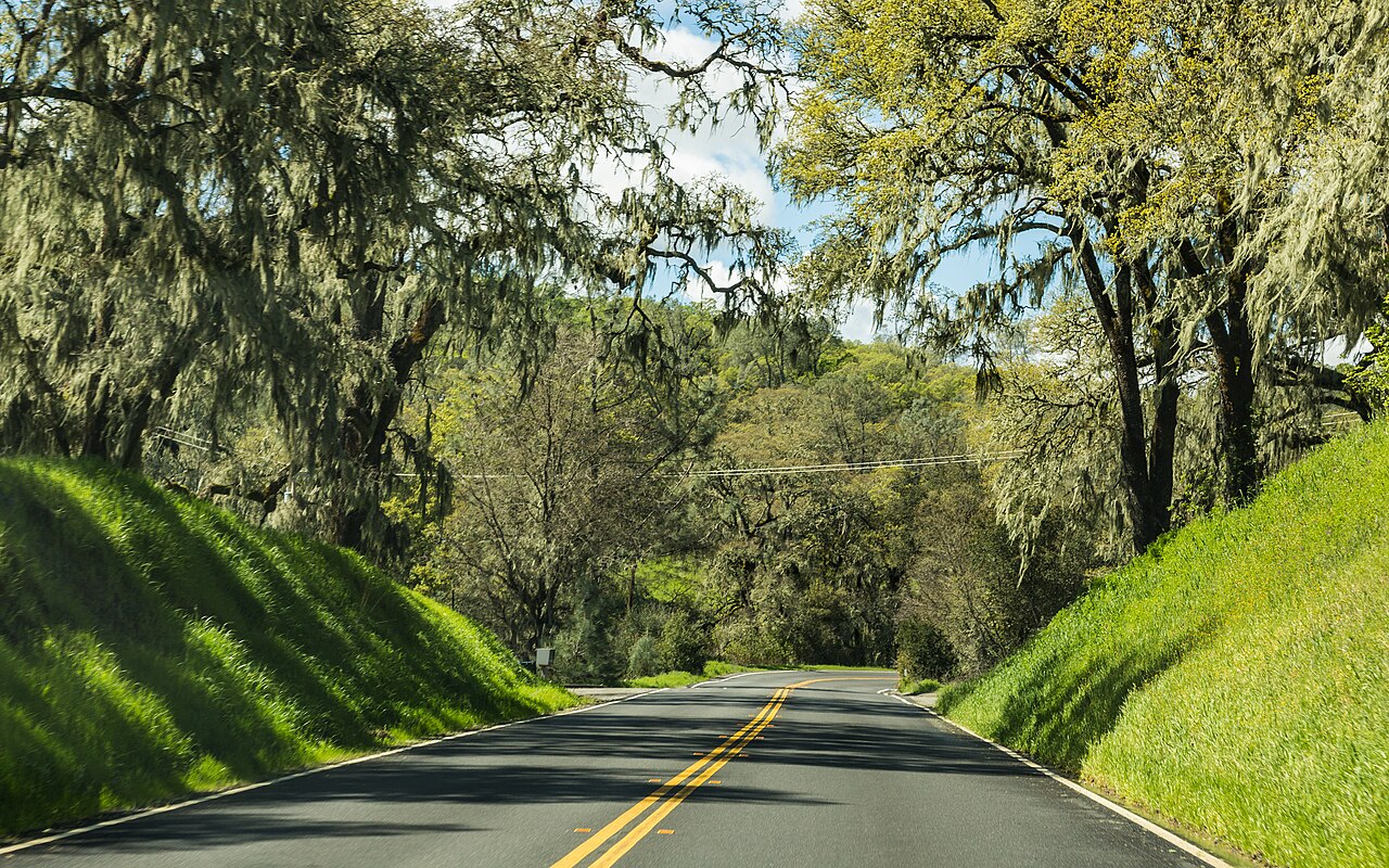 Napa Valley wine country road