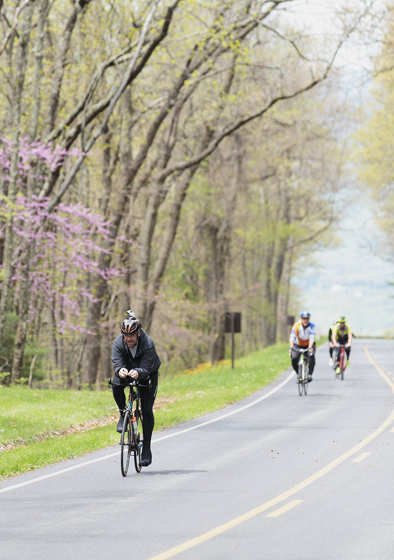 Shenandoah cyclists on road