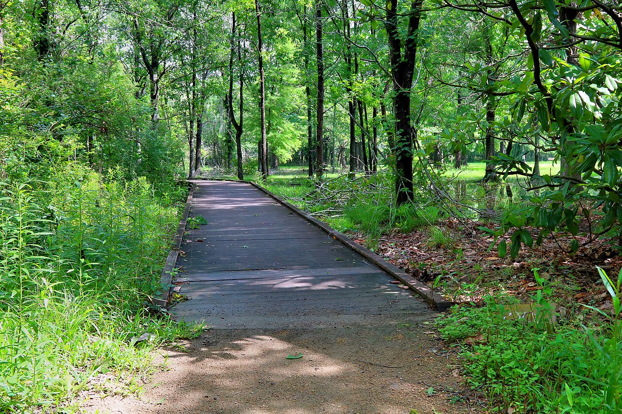 Swamp Rabbit Trail boardwalk
