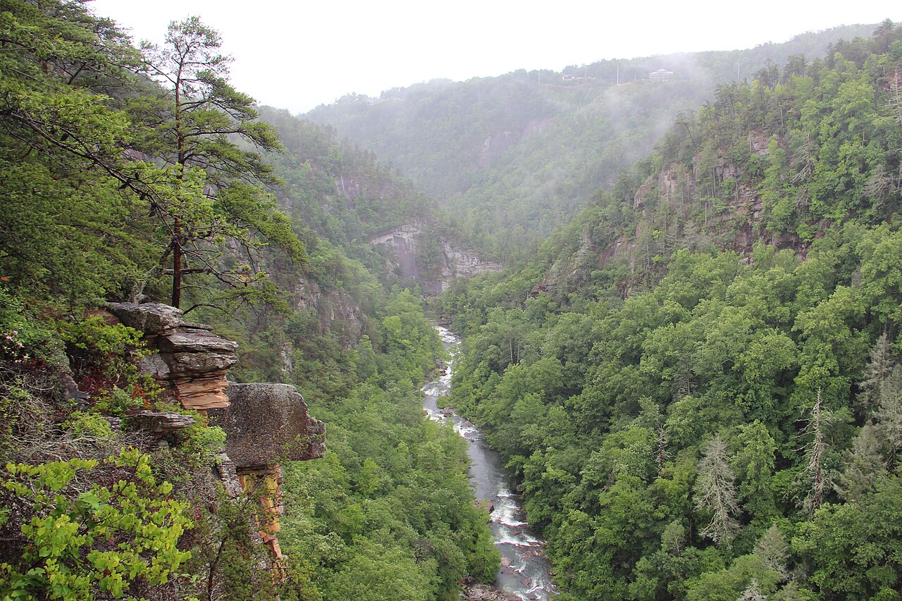 Tallulah Gorge overlook